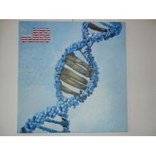 American Genes